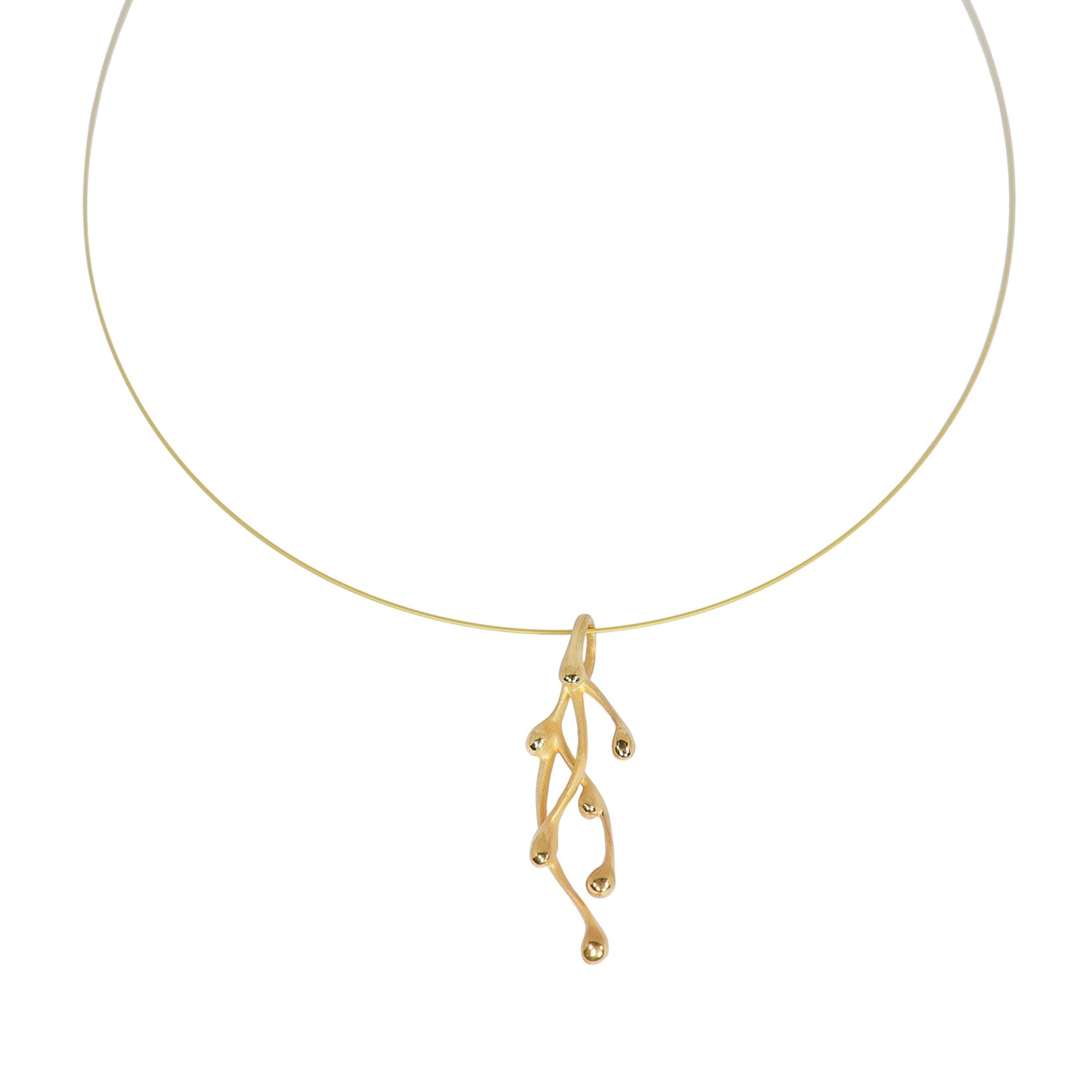 Pinus Colgante pequeño