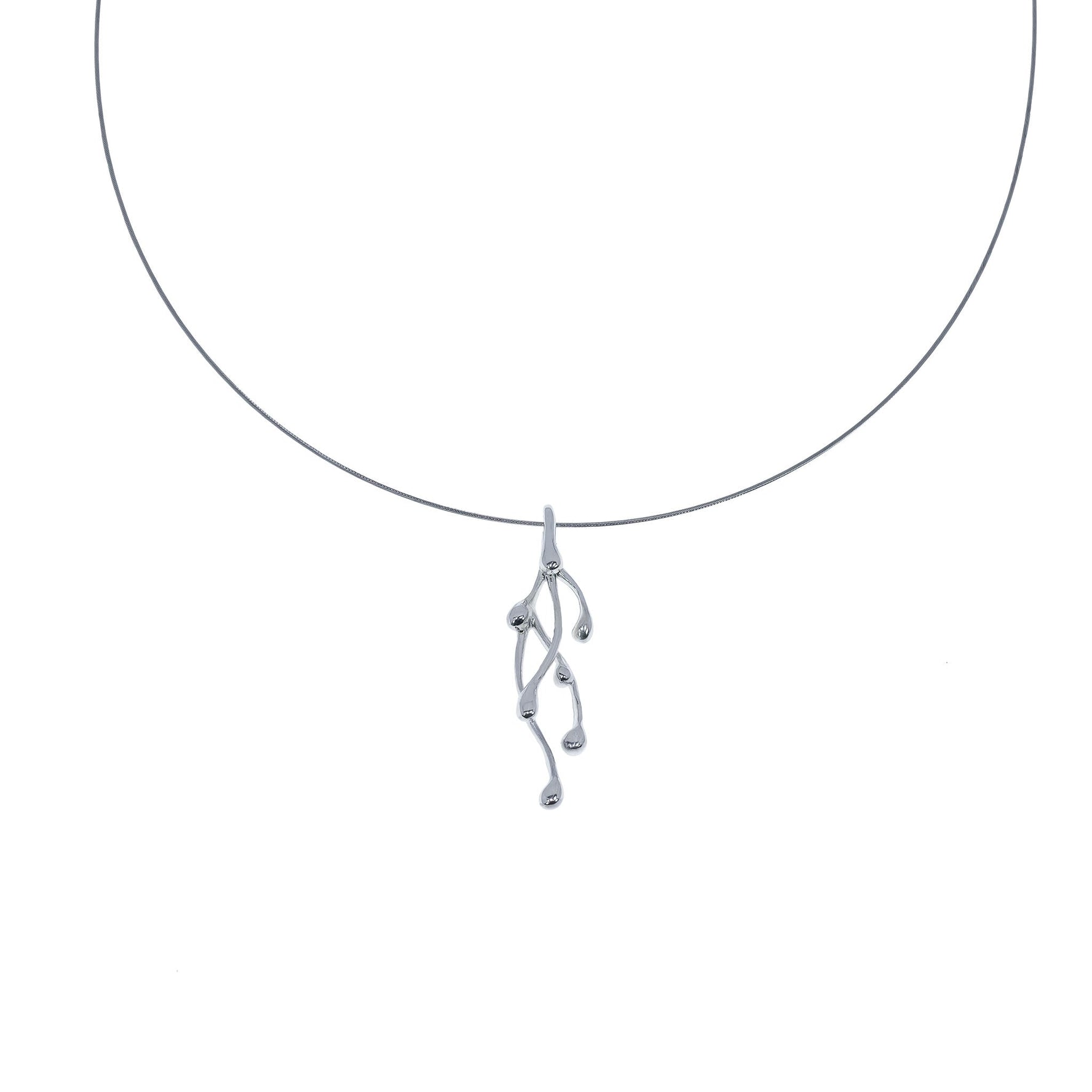 Pinus Colgante pequeño